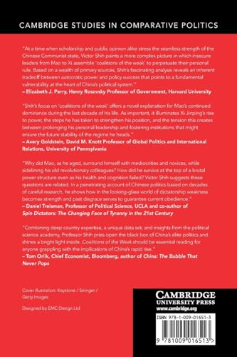 Coalitions of the Weak (Cambridge Studies in Comparative Politics) - Image 2