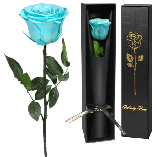 Yamonic Preserved Flower Rose for Delivery Prime,Birthday Gifts for Women,Single Real Rose Flower Mom Gifts for Wife Her, Girlfriend,Grandma, Anniversary Wedding, Mothers Day Rose Gifts for Mom