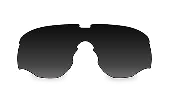 Wiley X　WX ROGUE Wiley X WX ROGUE Sunglasses | FREE Shipping - Go-Optic.com