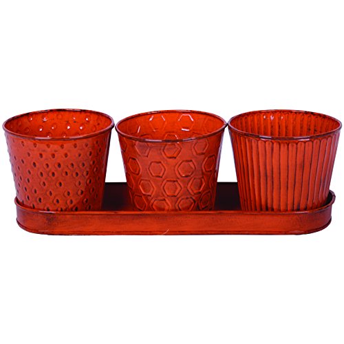 Robert Allen Mpt01913 Concord Garden Flower Pot Set With Tray, 4-Inch, Tango Color #TOP13
