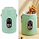 TOPINCN 500 W Kochen Tragbarer Elektrischer Topf Mini Edelstahl Multifunktionskocher, Mini 800 Ml Elektrischer Topf Kompaktes Design (EU-Stecker 220 V)