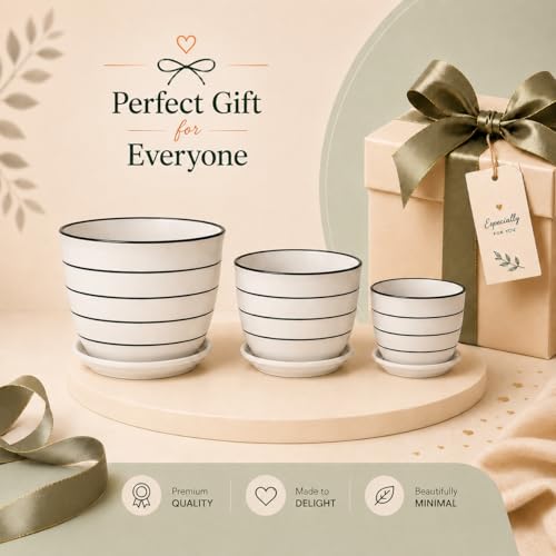 Image of Xtore Elegant Striped Ceramic Planter Set of 3 with Drainage Trays | Minimalist Indoor Plant Pots for Home, Office, Balcony & Tabletop Styling (Pack of 3 - Planter only)