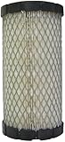 ACDelco Professional A2181C (89002354) Air Filter