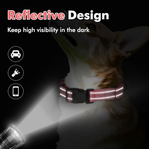Erbine Padded Martingale Collar for Small Dogs, Quick Release Buckle by Erbine - Used condition - Image 3