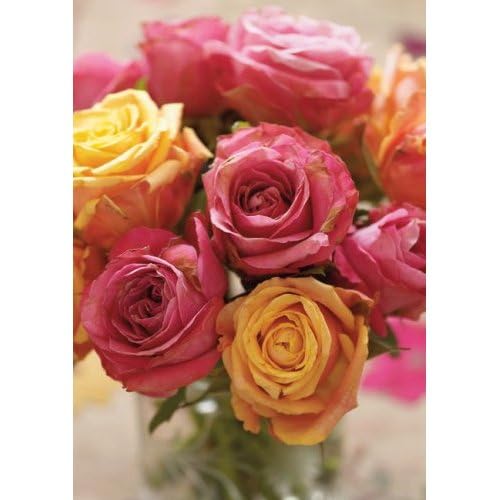 Roses Notecards