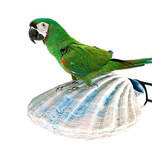 YJBE Piedra de afilar de Pico de pájaro,Accesorios para jaulas de pájaros Plataforma para Juegos de pájaros para Mascotas - Forma de Concha Loro Conejo Ardilla Hámster Molar Pájaro Dientes Pata Pico Cover