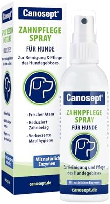 Canosept Zahnpflegespray für Hunde 100ml | Zahnsteinentferner mit natürlichen Enzymen, Dentalspray für Hunde, Effektive Zahnpflege & Zahnreinigung Hund