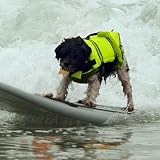 Hundeschwimmwesten Zum Schwimmen | Schwimmhilfe Sicherheitsweste Für Welpen & Hunde,Verstellbare Ausrüstung für Haustiere mittelgroße und große Rassen Welpen Outdoor Wassersport an See Pool Steg und