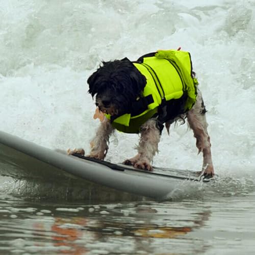 Hundeschwimmwesten Zum Schwimmen | Schwimmhilfe Sicherheitsweste Für Welpen & Hunde,Verstellbare Ausrüstung für Haustiere mittelgroße und große Rassen Welpen Outdoor Wassersport an See Pool Steg und