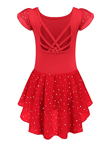 Image of Arshiner Girls Shiny Ruffle Sleeve Ballet Leotard with Skirt Criss-Cross Back Dance Dresses