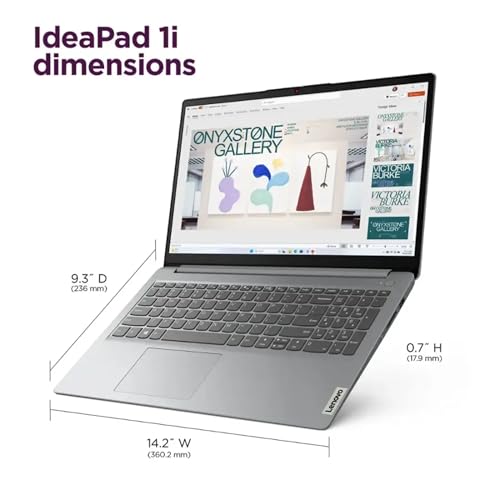 Image of Lenovo IdeaPad 1i Laptop with Office 365 Home and Business • 12GB RAM • 1TB Cloud Storage and 256GB SSD • Intel Core • 14 Anti-Glare Screen • WiFi-6 • 11HR Battery • Windows 11 no Mouse