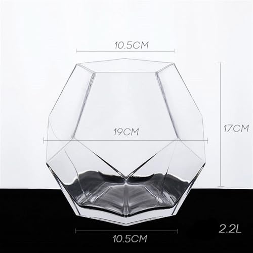 Aquarium poisson de combat compact pour décorer un petit meuble - 3