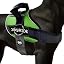 turf