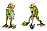 Froschhausen DekoNo7 2 ranas de jardinero con la jardinería, 16 cm, de piedra artificial, pintadas a mano y refinadas con superficie brillante