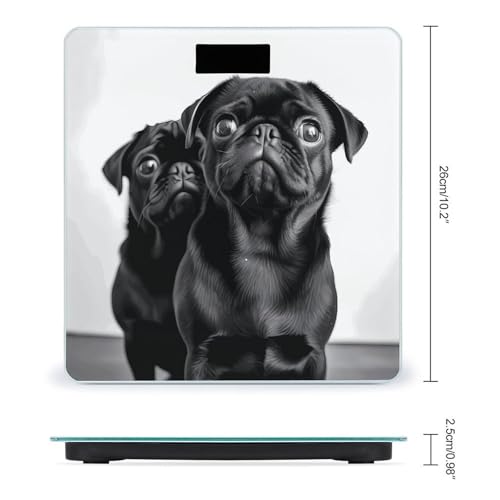 Báscula digital para peso corporal diseño perro pug negro miniatura 2