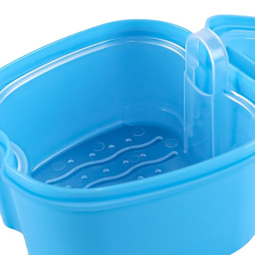 Nicear 2 Stücke Prothese Lagerung Box Prothese Box Dental Mundschutz Box Tragbare Feste Box Prothese Lagerung Box