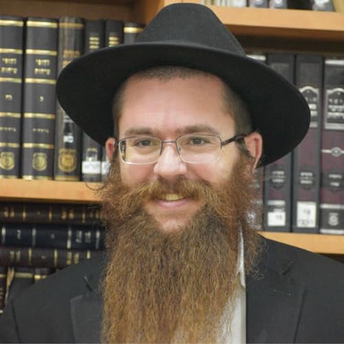 『הרב אפרים ארנברג』のカバーアート