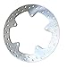 Vanlison Motorcycle Rear Brake Rotor Disc Compatible with BMW F650GS/F700GS/F750GS/F800GS/F800GTF800ST F850GSABS F900XR S1000XR K1200S K1200R R1200GS R1200ST/R NINE T 1200/K1300R ABS/K1300S/K1600GT