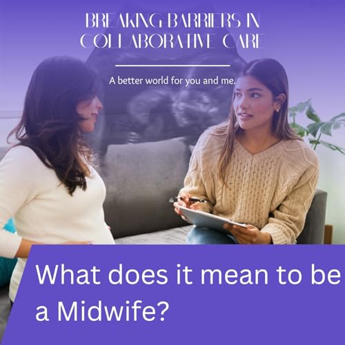102: What Does It Mean To Be A Midwife? | EP #2