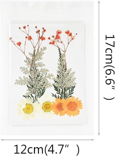 Flor seca pequeña para prensar y decorar miniatura 2