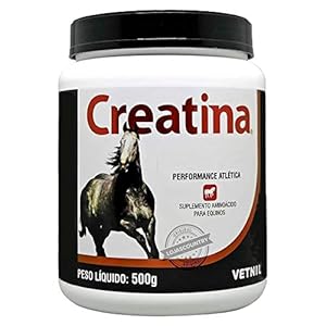 Creatina-Vetnil-500g - Vita Supply