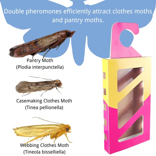 Shengkou - Effective And Refillable Dual Moth Pheromone Traps, Ultimate Solution To Clothes & Pantry Moth Control -4 Pack #TOP1