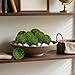 MAISONRINA Moss Balls Decorative 3.5‘’, 8Pcs Large Green Moss Balls Decorative for Bowl fillers,Natural Handmade Ball Vase Fillers for Centerpieces,Garden Weddings Party Home Decor