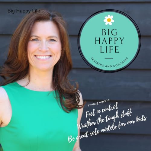 Big Happy Life cover art