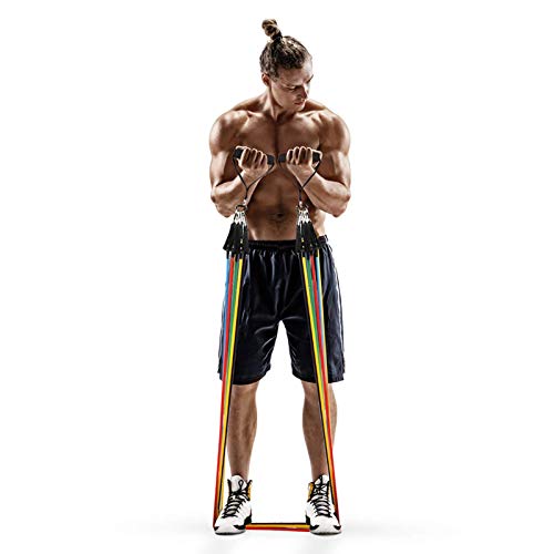 Portzon Resistance Band Set, Workout Bands, Exercise Bands Door Anchor Handle Resistance Training, Convenient, Durable, Exercise Stack-able Up to 100 lbs