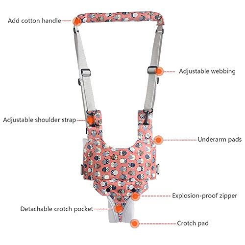 IULONEE Baby Walker, Handheld Kids Toddler Walking Harness Helper Assistant Protective Belt Child Activity Walker Adjustable Standing Up Walking Learning Helper for Toddler 7-24 Month (Orange) - Thumbnail 4