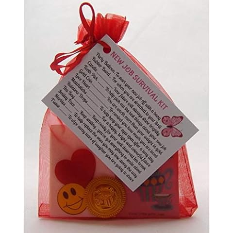 New Job Survival Kit Gift For New Job, New Career Leaving Present Thank You by clever little gifts (Radiant Red) (Radiant Red) Cover
