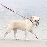 Cocker Spaniel Rüde - CHOPO Drahtmaulkorb - Hundemaukorb -Komfort und Sicherheit in Perfekter Balance