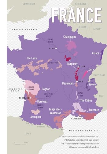 The Wine Bible, 3rd Edition (The Workman Bible Series)