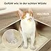 FUKUMARU Maniok Katzenstreu 10.8 kg – Starke Klumpenbildung, Staubfrei, Antihaft-Boden, 24/7 Geruchskontrolle mit pflanzlichen Zutaten