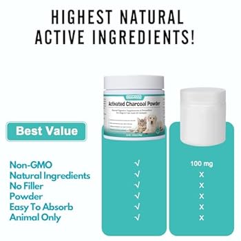 How Many Mg of Activated Charcoal for Dogs: Expert Guide