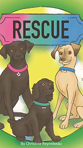 Rescue: Lessons about teamwork (Dreambuilt Kid Series)