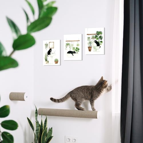 Image of CHDITB Black Cat Bathroom Canvas Wall Art Set of 3, Funny Cat Watercolor Painting, Botanical Cats Wall Decor, Boho Plants Poster, Cute Kitten Art Prints For Restroom Laundry Room Decor(12X16 Inch)