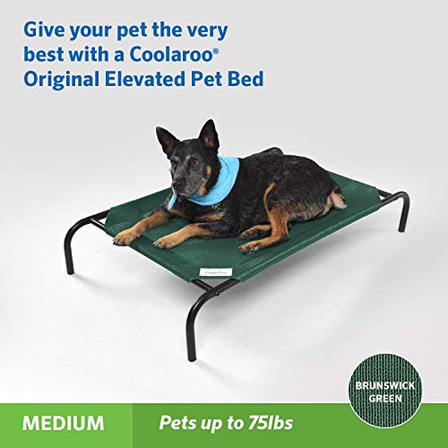 Image of Coolaroo The Original Cooling Elevated Pet Bed, Medium, Brunswick Green