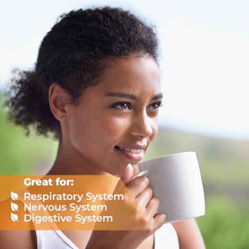 Image of 1.8 oz. Dried Marigold Flowers Bur Marigold Herb Tea Marygold Tea (Bidens Tripartite L.) - 50g 100% Chereda Bur-Marigold Canamo Acuatico