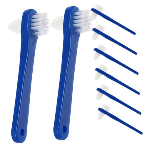SEWOART 8Piezas Ortopédicos Portátiles Para Dentaduras Limpieza Ergonómicos Para Uso Casa