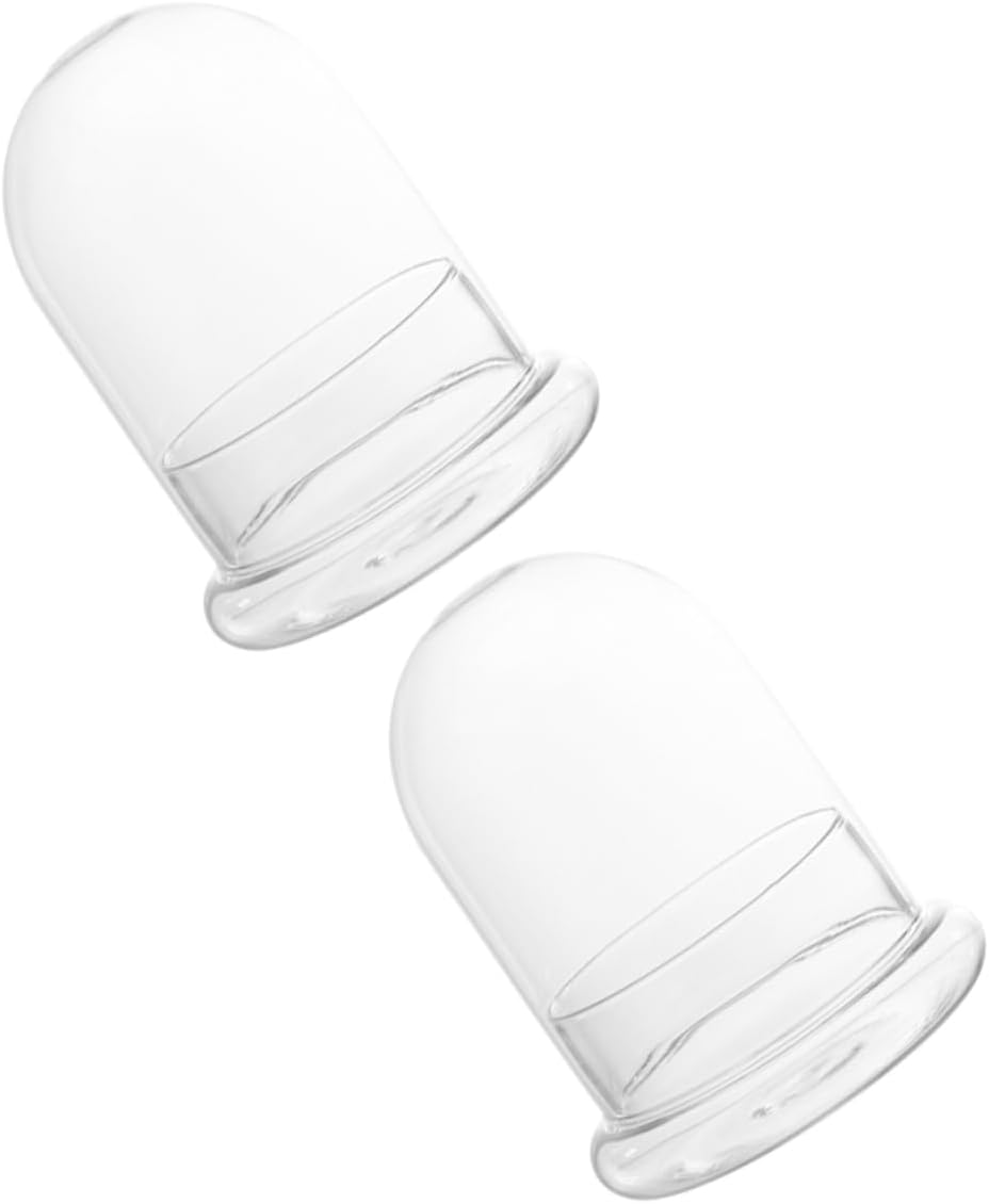 GANAZONO 2pcs Eco Bottle Moss Glass Plant Bottles for DIY Miniature Terrariums Table Adornments