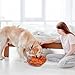 GmwyCzV Schnüffelteppich Hund, Waschbar Schnüffelmatte für Hunde, Robuste Futter Schnüffeln Fütterung Matte, Snuffle Mat for Dogs, für Langeweile und Stressabbau Ermutigt Hunde Langsam Fressen