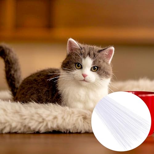 Image of 300PCS Simulated Animal Whiskers for Crafts, 3 Inches Craft Animal Whiskers Simulated Cat Whisker Animals Needle Felting Whiskeres Plastic Supplies for Stuffed Whisker Muppet (White)