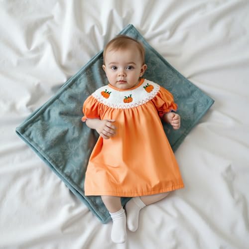 Little Kids Toddler Girl Halloween Outfits Clothes Pumpkin Embroidery Long Sleeve Plaid Fall Smocked Dress 1-7T3