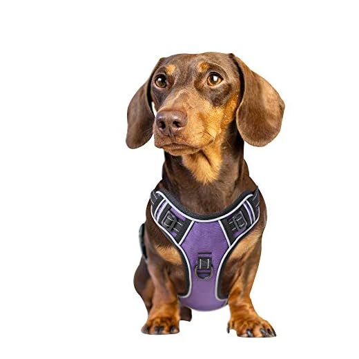 EAVSOW Dog Harness No Pull, Pet Vest Harness with 2 Metal Rings and Handle, Adjustable Reflective Breathable Oxford Soft Vest, Easy Control Front Clip Harness for Small Dogs