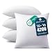PHANTOSCOPE 4 Packs Throw Pillow Inserts Hypoallergenic Square Form Sham Stuffer 16" x 16"