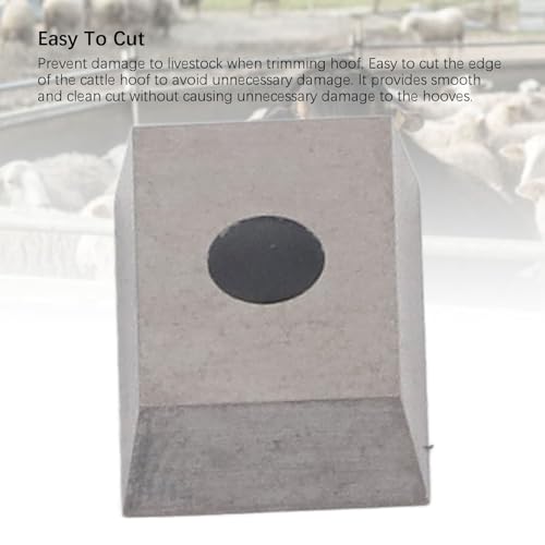 Lâmina de Disco de Corte de Casco de Gado Em Aço Inoxidável, Fácil de Operar, Ferramenta de Cabeça d