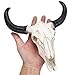 DECHOUS Cow Skull Wall Decor, Small Long Horn Bull Skull Wall Decor Resin Sculpture Bull Horns Skull Animal Skull Wall Mount Cow Skull for Home Wall Art, 9x8.45 Inch