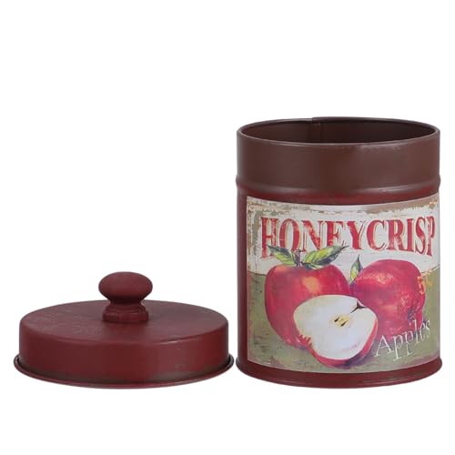 Abaodam 1 Caja Cubo De Flores De Hierro Titular De De La Jarra Jarrón De Centro De Mesa De La Casa De Campo Bote De Té Galvanizado Jarrón para Fotografía Botes Francia Comida Seca Planchar - imagen 8