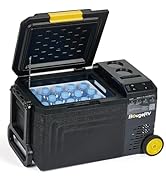 Amazon.co.jp: BougeRV CRD Mini 19L 車載冷蔵庫 (24L) : 車＆バイク